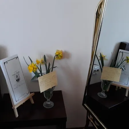 Guest house Casa Veche 3*