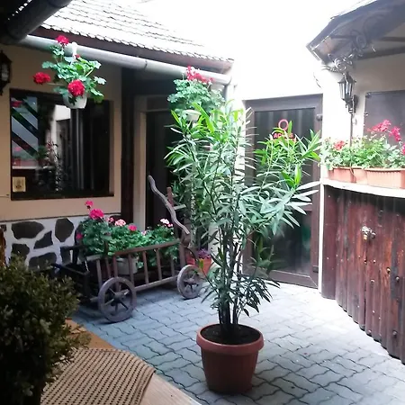 Casa Veche